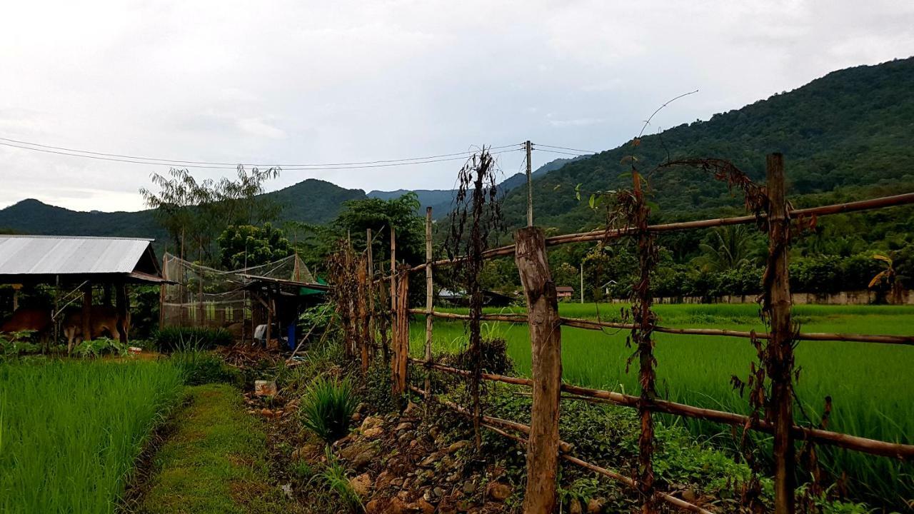 ฮ้างนาตาจันทร์ Villa Pua Eksteriør bilde