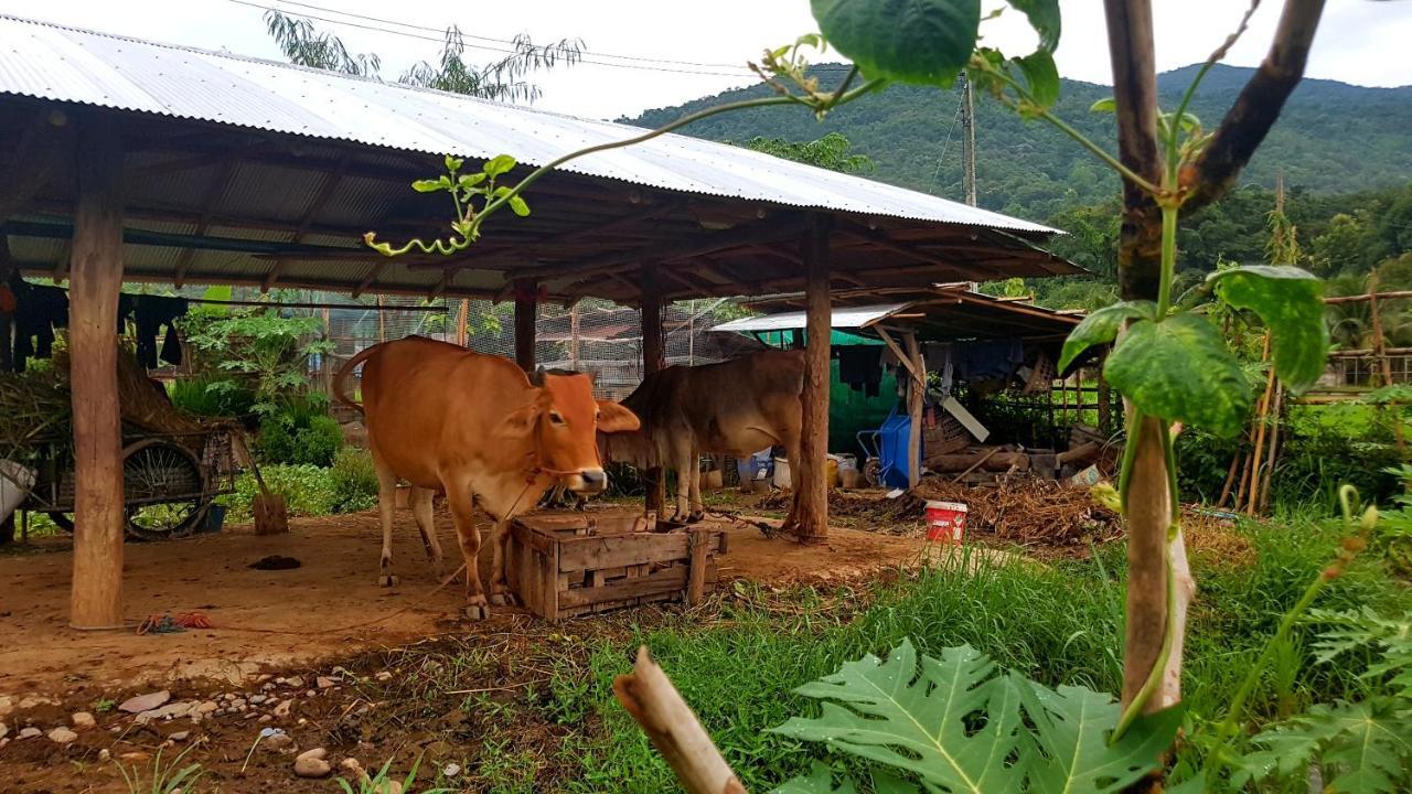 ฮ้างนาตาจันทร์ Villa Pua Eksteriør bilde